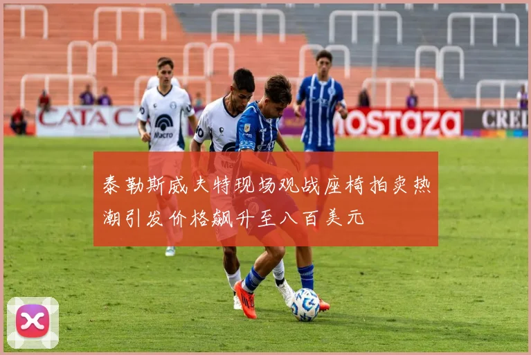 泰勒斯威夫特现场观战座椅拍卖热潮引发价格飙升至八百美元